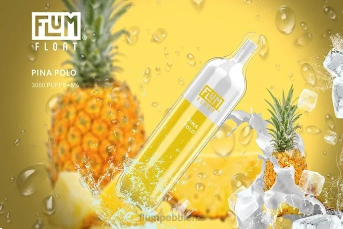 Flum Pebbles NZ - FLUM FLOAT 3000 PUFFS Pina Polo 8J2J64