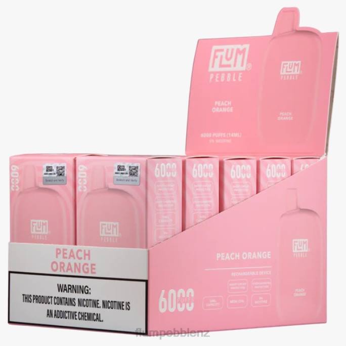 Flum Pebble Vape Website - FLUM PEBBLES 6000 PUFFS 10 PACKS Peach Orange 8J2J63