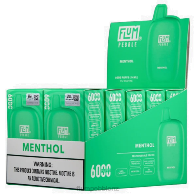 Flum Pebbles Flavors - FLUM PEBBLES 6000 PUFFS 10 PACKS Menthol 8J2J58