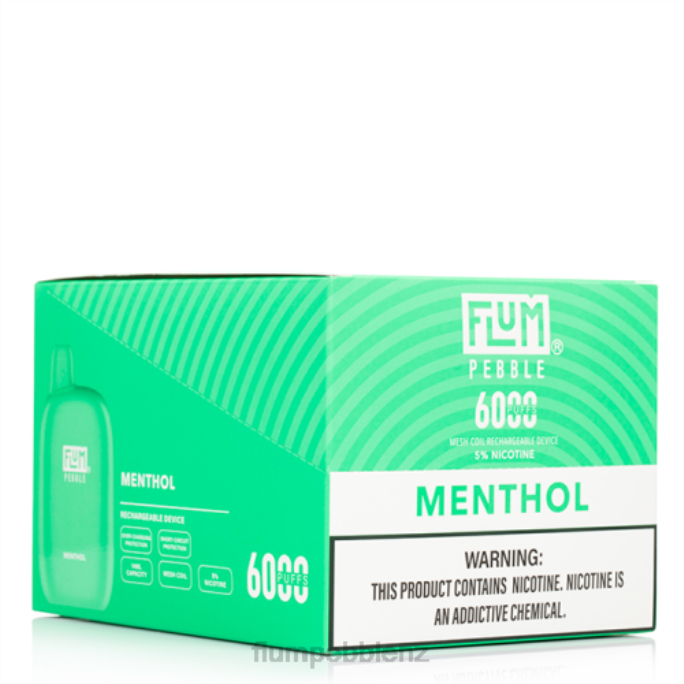 Flum Pebbles Flavors - FLUM PEBBLES 6000 PUFFS 10 PACKS Menthol 8J2J58