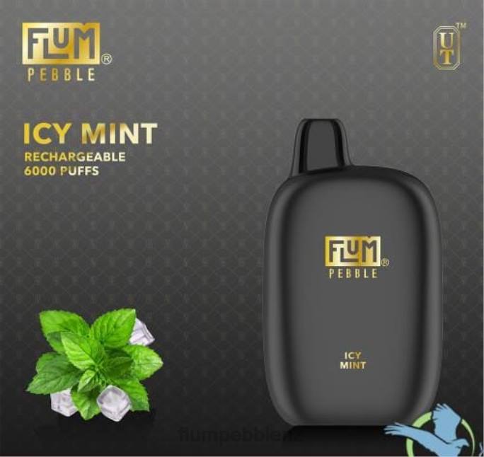 Flum Pebbles Flavors - FLUM PEBBLES 6000 PUFFS Icy Mint 8J2J49
