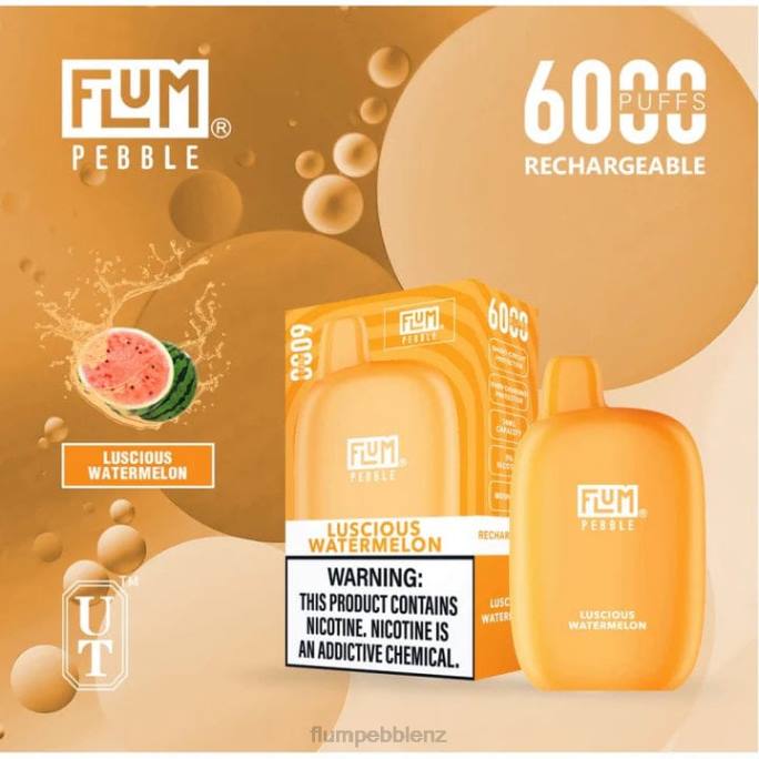 Flum Pebbles Near Me - FLUM PEBBLES 6000 PUFFS Luscious Watermelon 8J2J50
