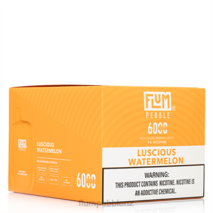 Flum Pebbles Price - FLUM PEBBLES 6000 PUFFS 10 PACKS Luscious Watermelon 8J2J51