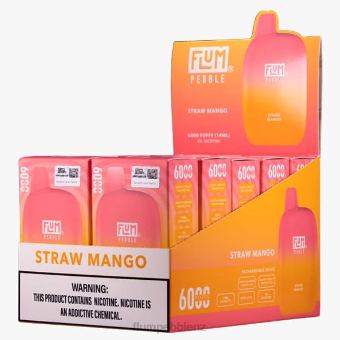 Flum Pebbles Price - FLUM PEBBLES 6000 PUFFS 10 PACKS Straw Mango 8J2J69