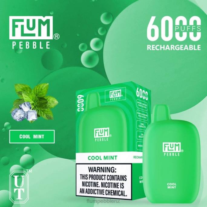 Flum Pebbles Price - FLUM PEBBLES 6000 PUFFS Cool Mint 8J2J24