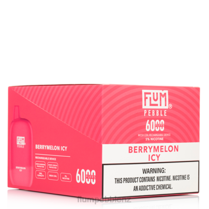 Flum Pebbles Wholesale - FLUM PEBBLES 6000 PUFFS 10 PACKS Berrymelon Icy 8J2J8