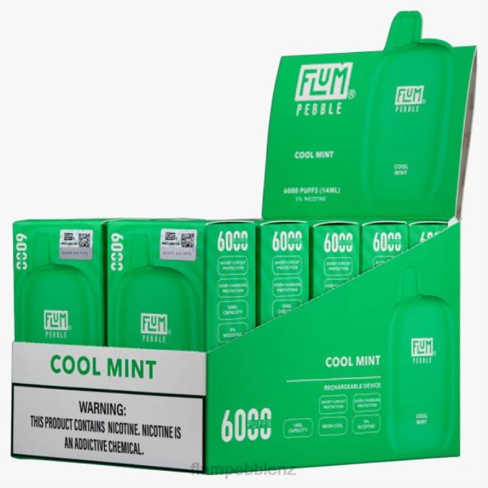 Flum Pebbles Wholesale - FLUM PEBBLES 6000 PUFFS 10 PACKS Cool Mint 8J2J26