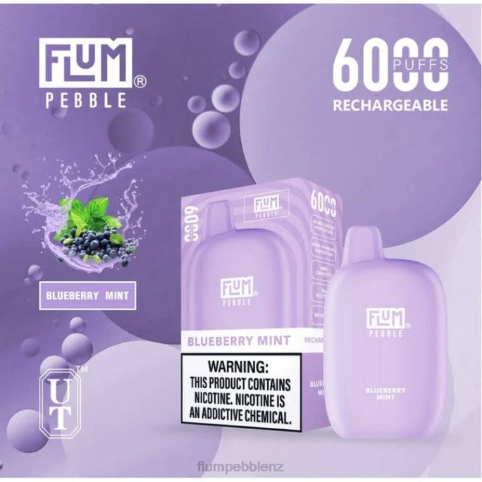 Flum Pebbles Wholesale - FLUM PEBBLES 6000 PUFFS Blueberry Mint 8J2J17