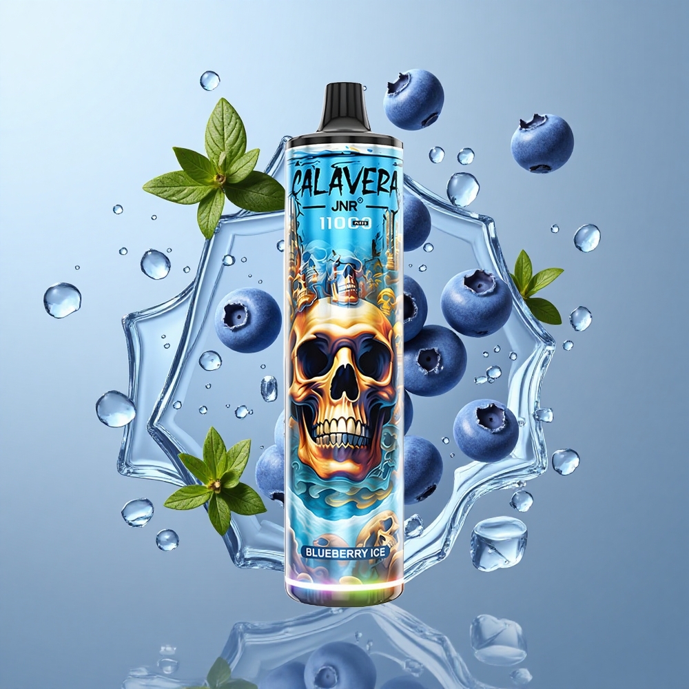 JNR Calavera 11000 Puffs Disposable Vape Blueberry Ice with Type-C Charging