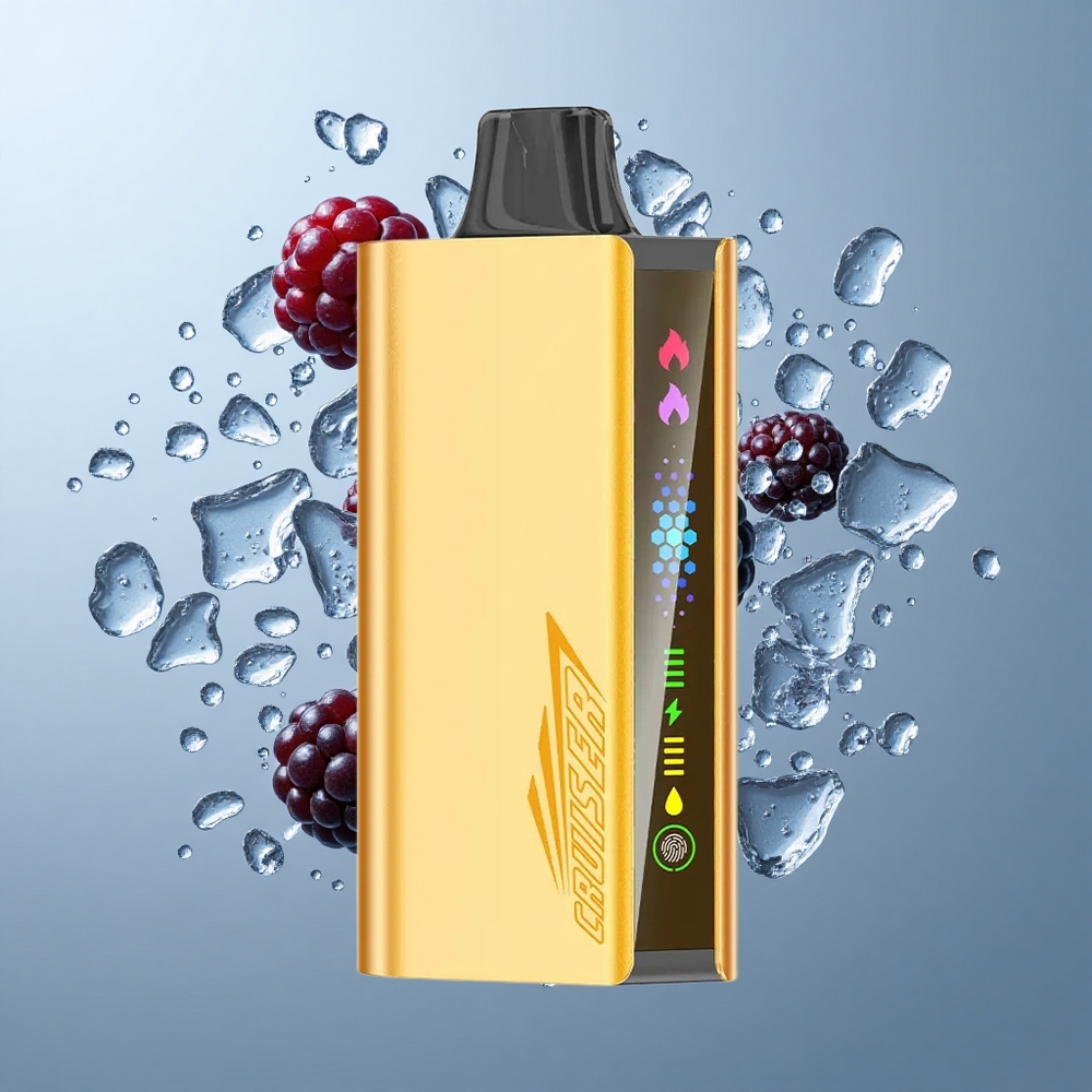 JNR Cruiser 12000 Puffs No-Charge Disposable Vape Blackberry Ice with Animation Screen