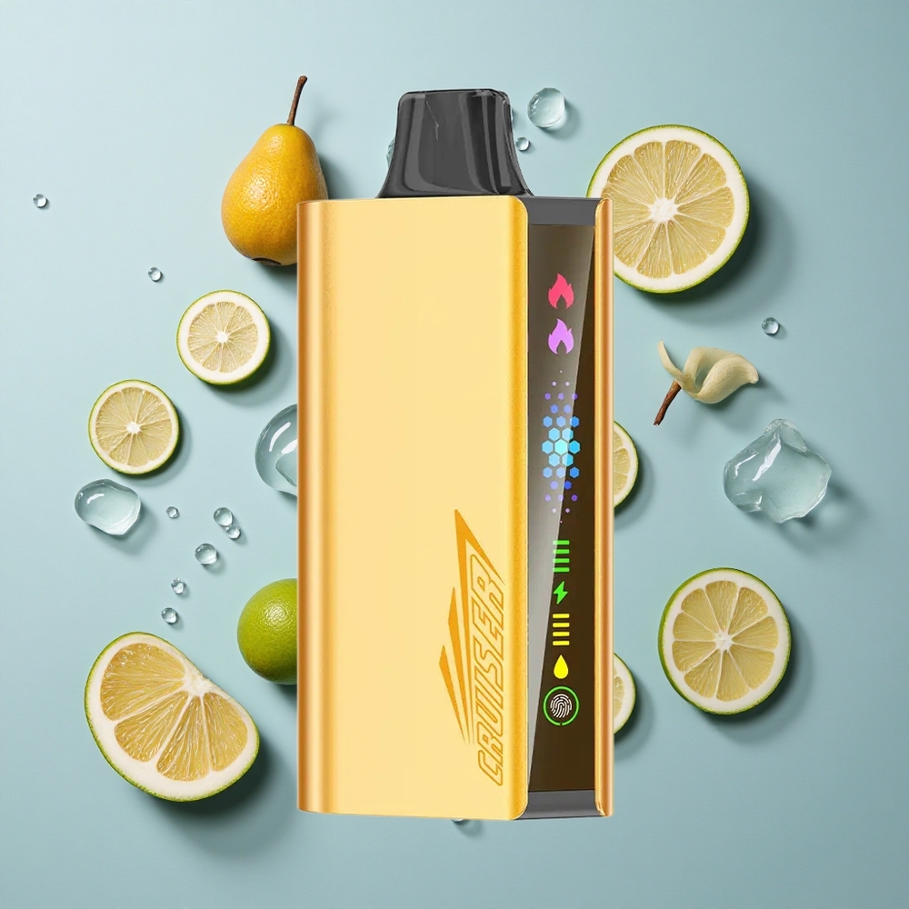 JNR Cruiser 12000 Puffs No-Charge Disposable Vape Cool Mint with Animation Screen