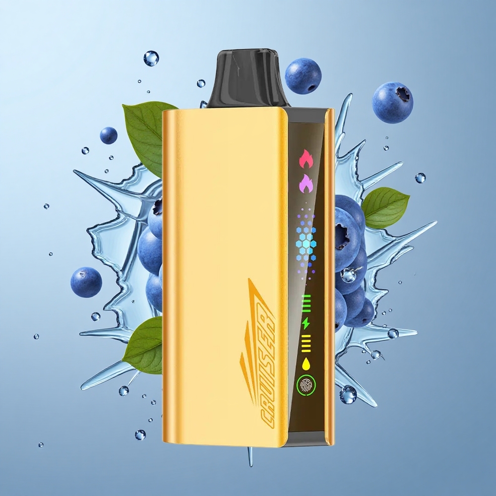 JNR Cruiser 12000 Puffs No-Charge Disposable Vape with Animation Screen & Dual Modes Blueberry Blast