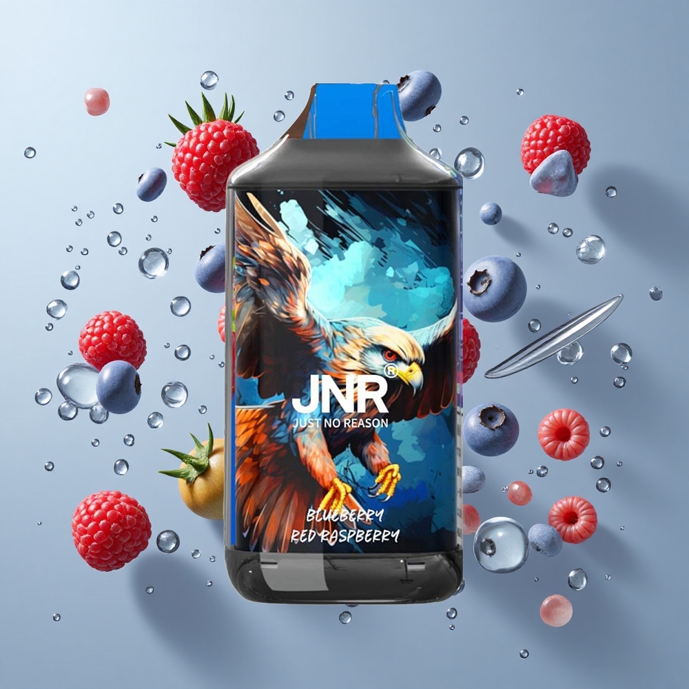 JNR Falcon 16000 Puffs Dual Mesh Blueberry Red Raspberry Disposable Vape