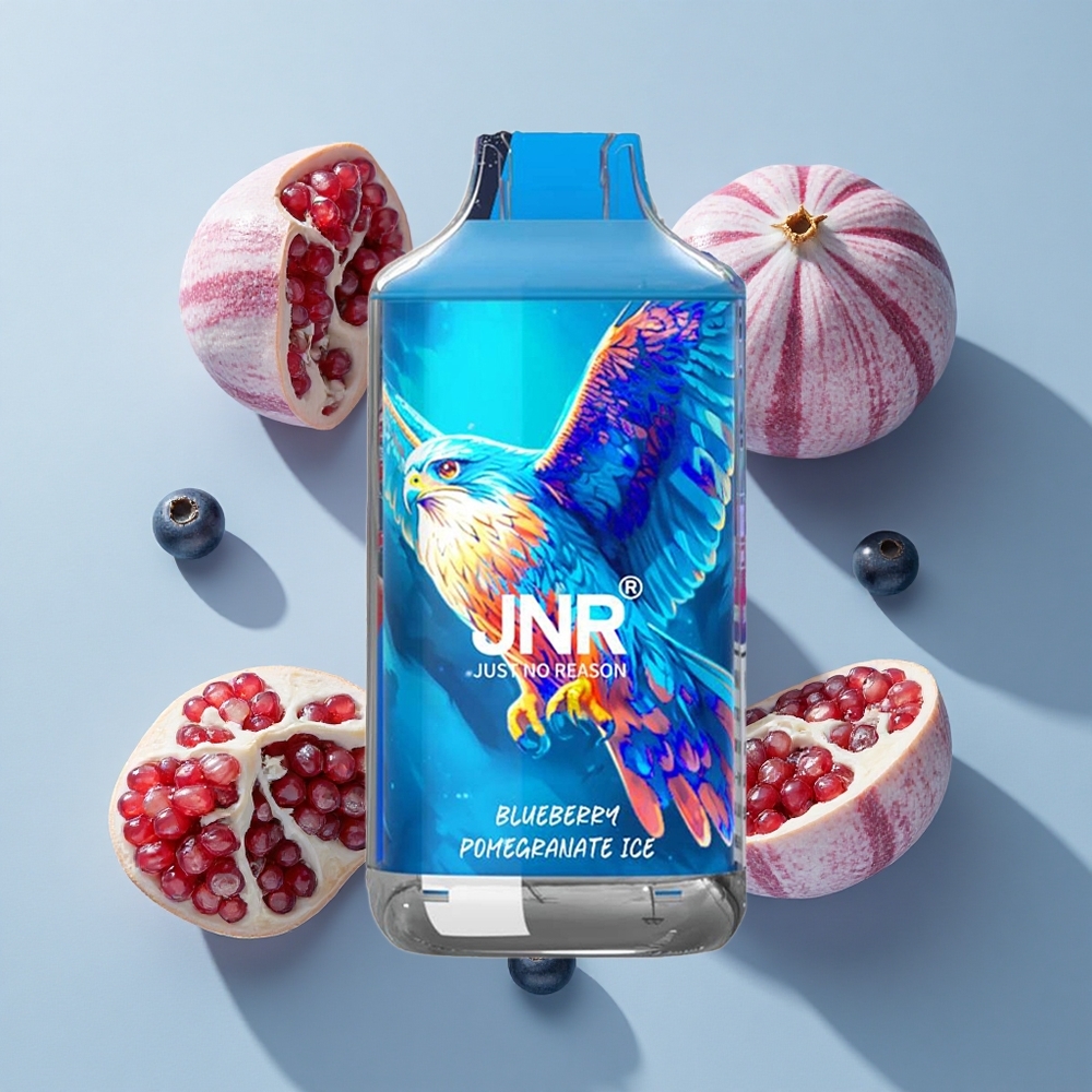 JNR Falcon 16000 Puffs Dual Mesh Coil Blueberry Pomegranate Ice