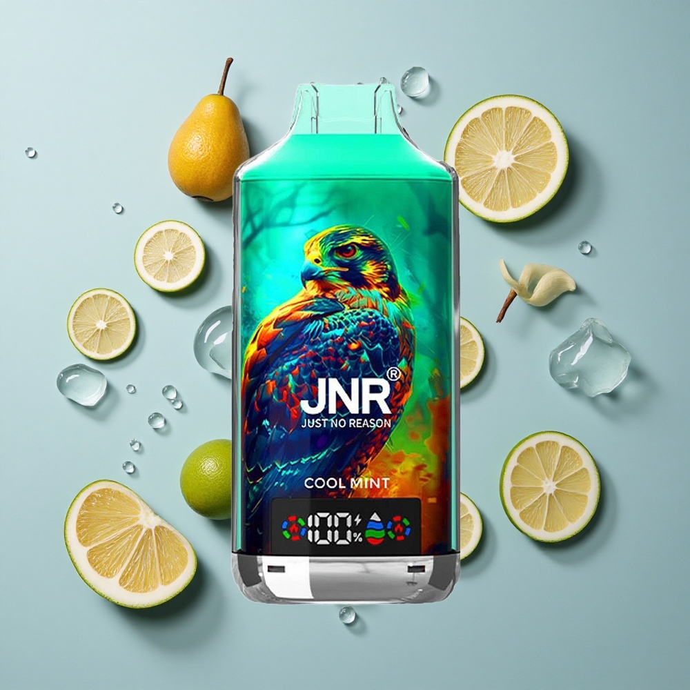 JNR Falcon X 18000 Puffs Cool Mint with Dual Mesh Coil & Type-C Quick Charge