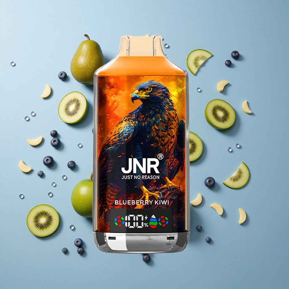 JNR Falcon X 18000 Puffs Disposable Vape Blueberry Kiwi with Dual Mesh Coil & Type-C Quick Charge