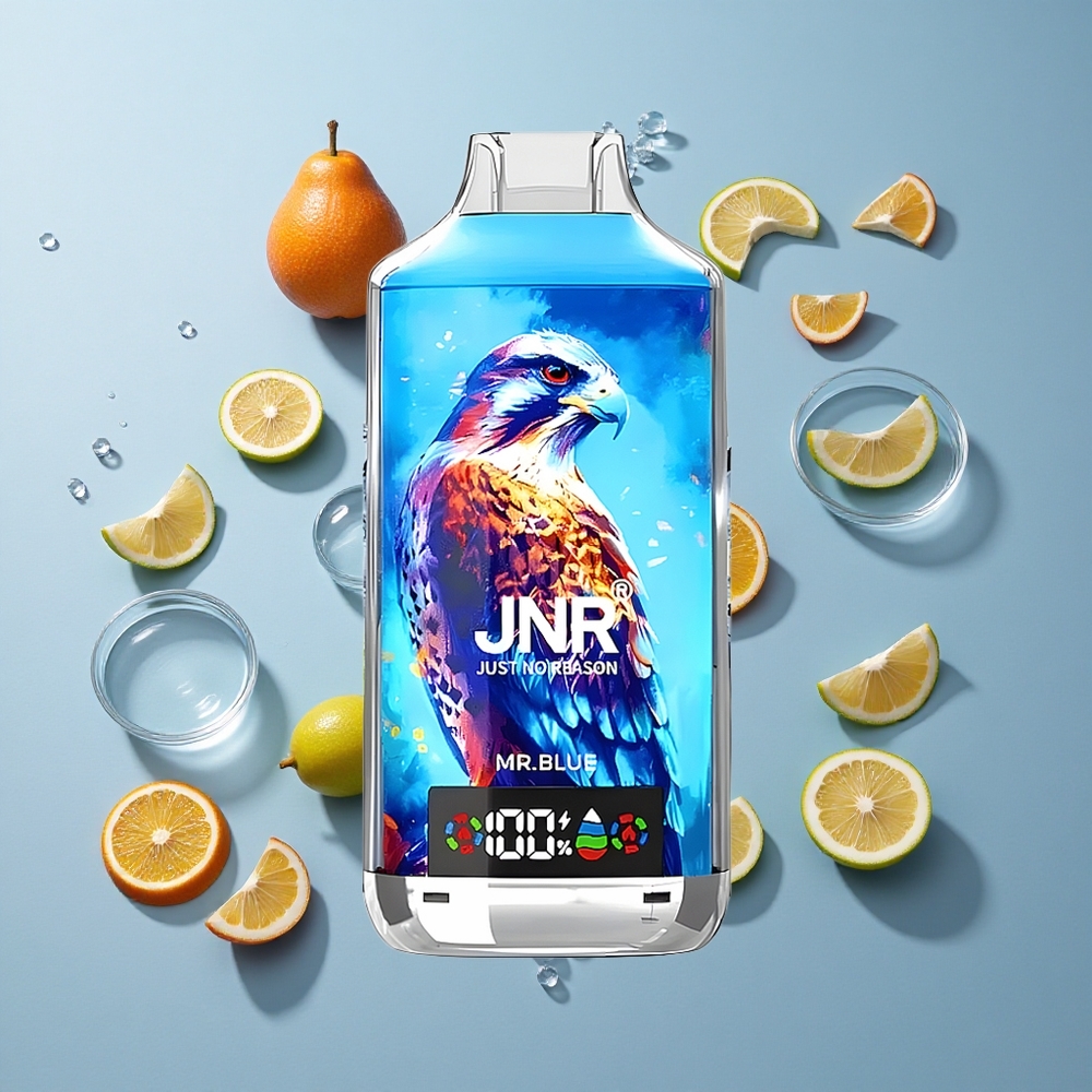 JNR Falcon X 18000 Puffs Disposable Vape Mr. Blue with Dual Mesh Coil & Type-C Quick Charge