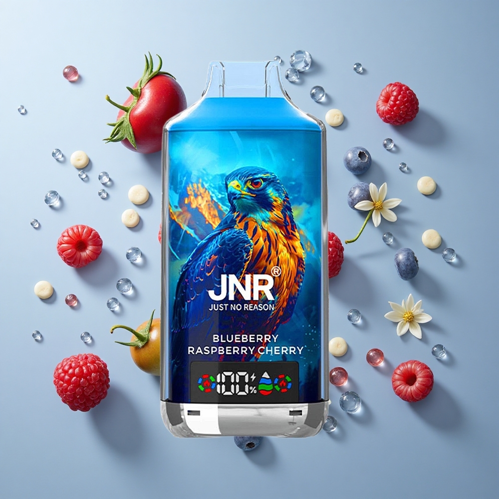 JNR Falcon X 18000 Puffs Dual Mesh Blueberry Raspberry Cherry Type-C Quick Charge