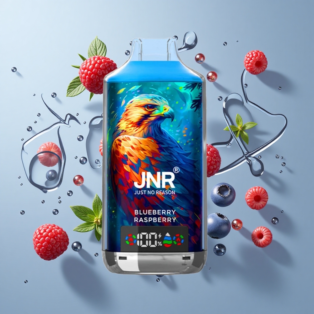 JNR Falcon X 18000 Puffs Dual Mesh Blueberry Raspberry Disposable Vape