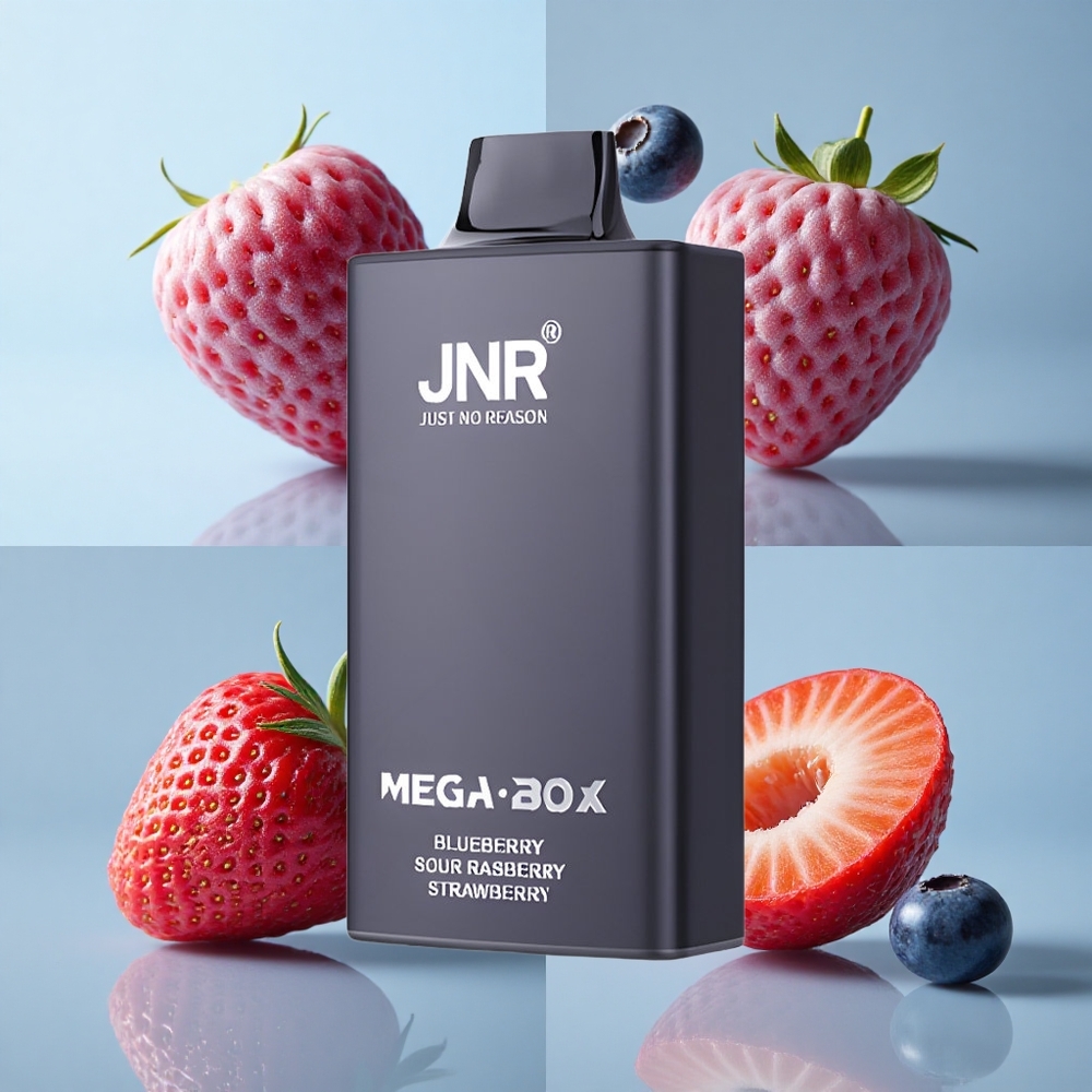 JNR Mega Box 25000 Puffs Disposable Vape Blueberry Sour Raspberry Strawberry with 30ml E-liquid & Type-C Quick Charge