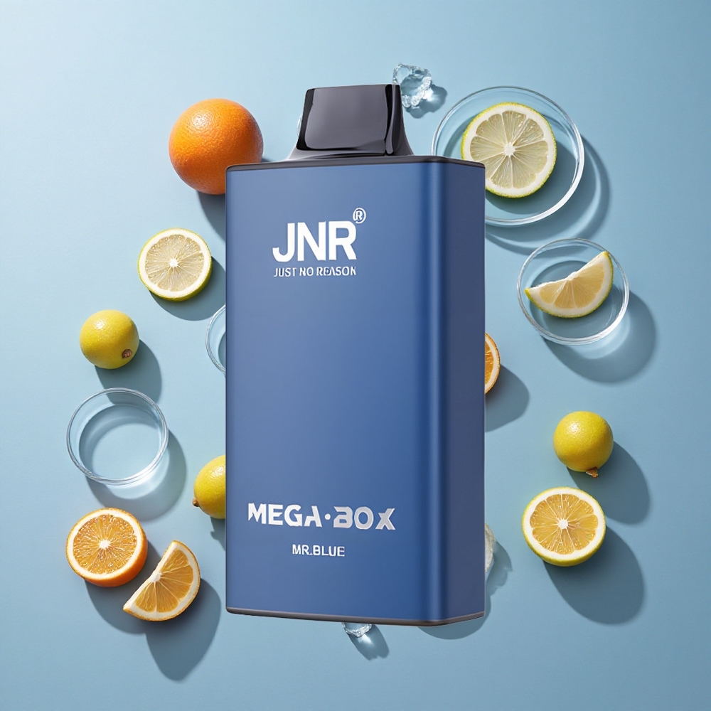 JNR Mega Box 25000 Puffs Disposable Vape Mr Blue with 30ml E-liquid & Type-C Quick Charge