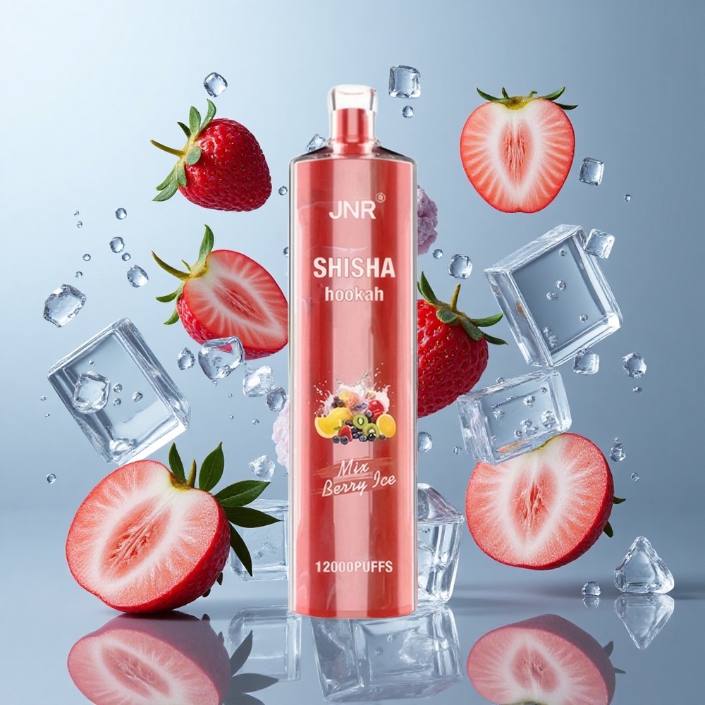 JNR Shisha Hookah 12000 Puffs Berry Ice Disposable Vape with 750mAh Battery & Type-C Charging