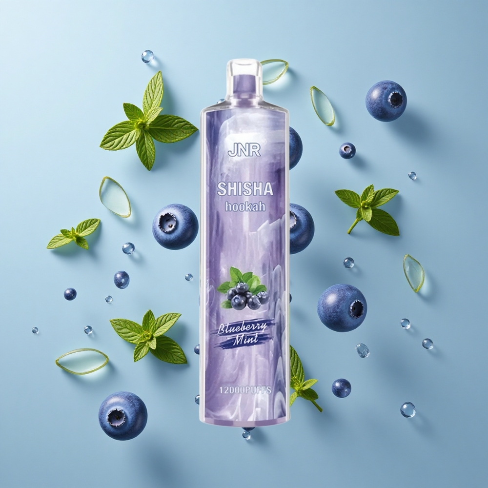 JNR Shisha Hookah 12000 Puffs Disposable Vape Blueberry Mint with 24mL E-Liquid & Type-C Fast Charging