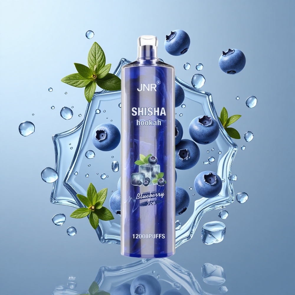 JNR Shisha Hookah 12000 Puffs Disposable Vape with 24ml E-Liquid & Blueberry Ice