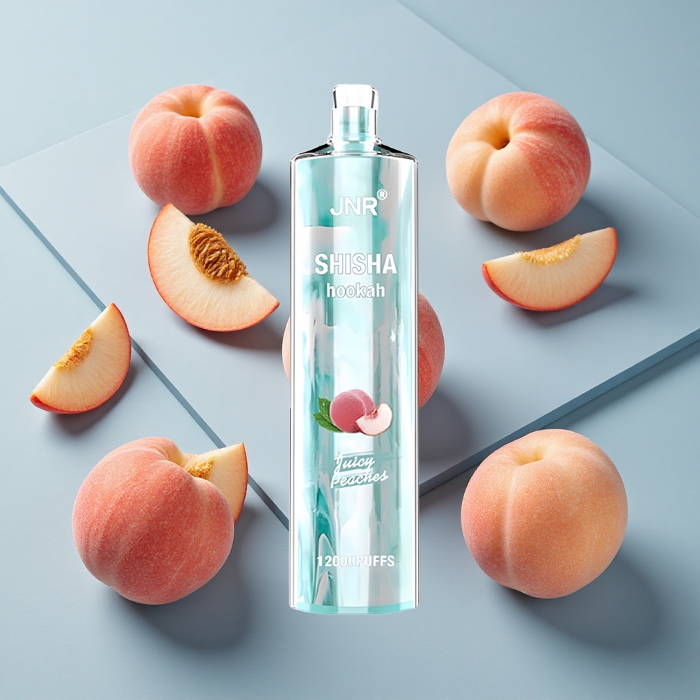 JNR Shisha Hookah 12000 Puffs Juicy Peaches Disposable Vape with 750mAh Battery & 24ml E-Liquid