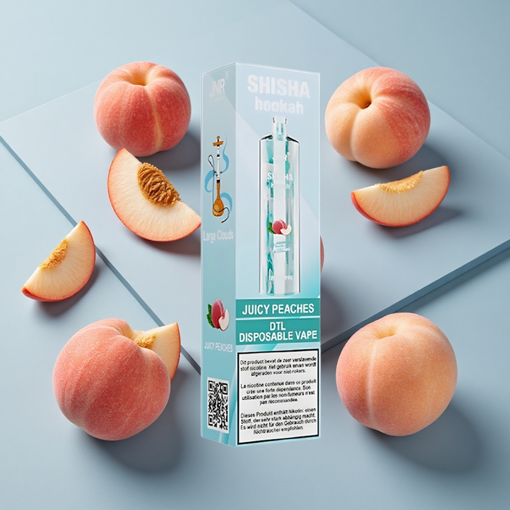 JNR Shisha Hookah 12000 Puffs Juicy Peaches Disposable Vape with 750mAh Battery & 24ml E-Liquid