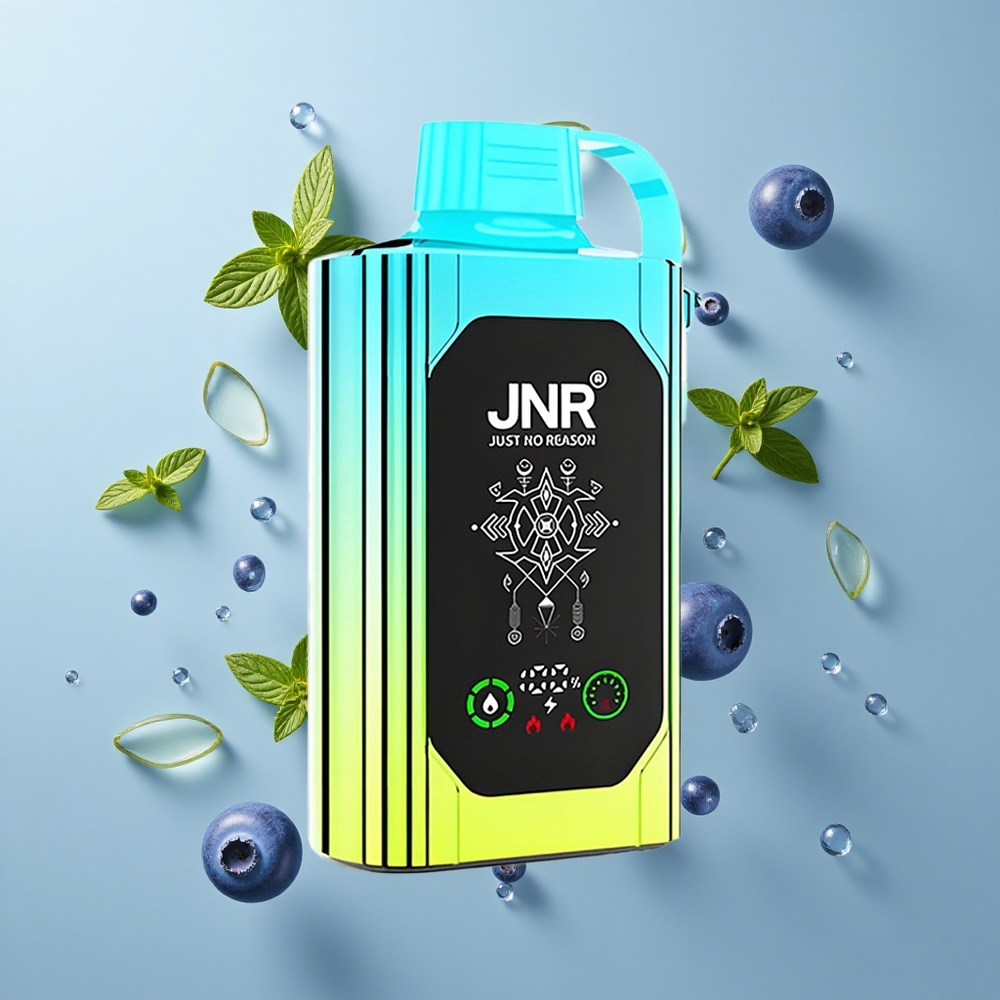 JNR Shisha Hookah Box 20500 Puffs Dual Mesh Coil Blueberry Mint Disposable Vape