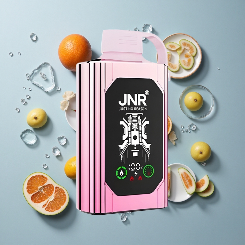 JNR Shisha Hookah Box 20500 Puffs Dual Mesh Coil Lady Killa